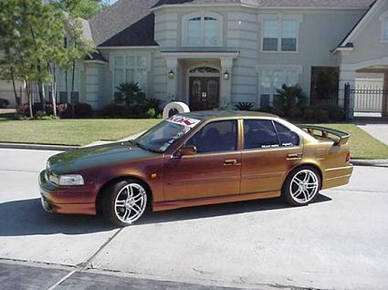 maxima1.jpg